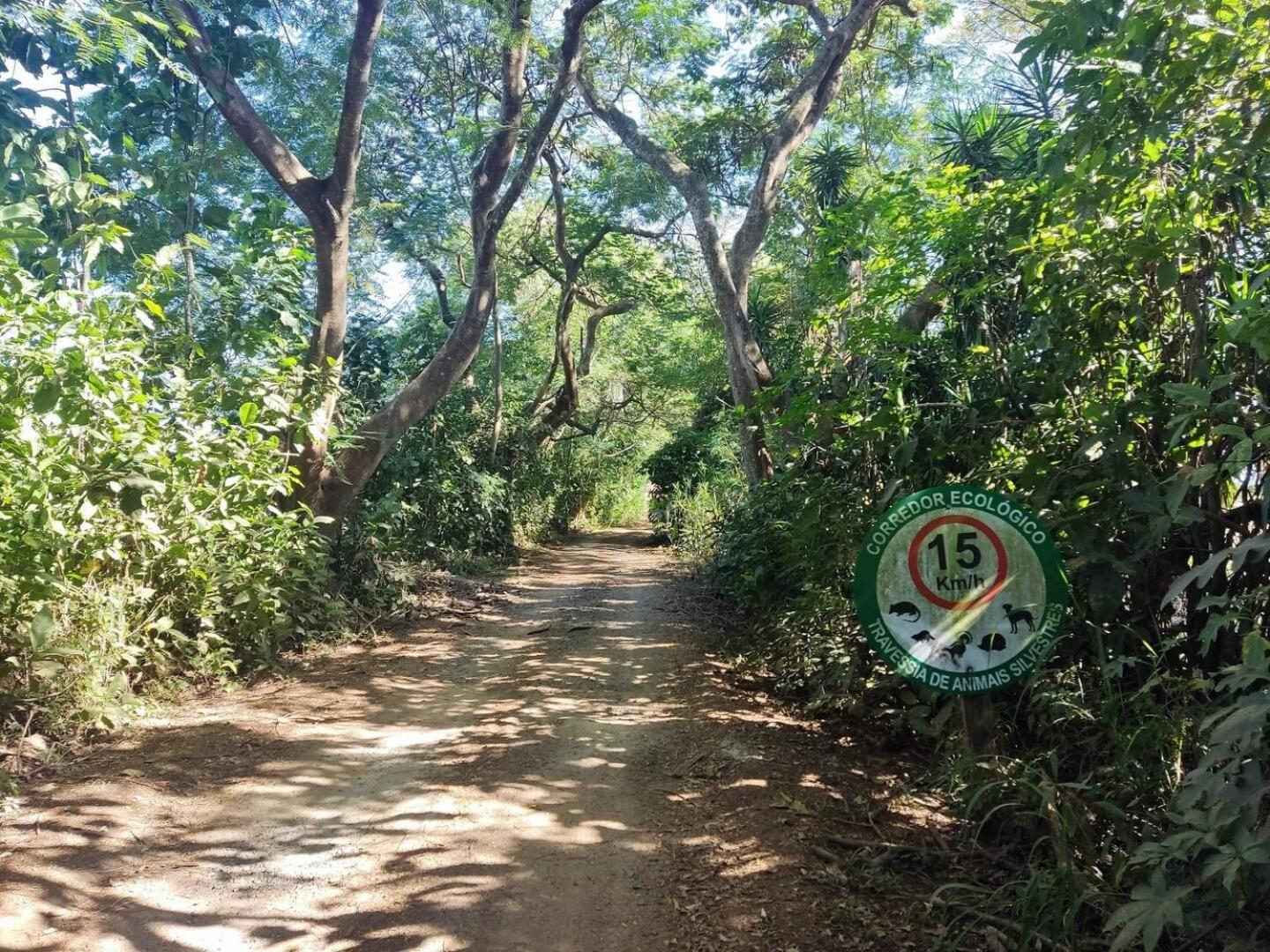Parque Paraíso das Flores Holambra Exterior foto